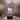 Lampka LED Plexido Z Nadrukiem UV Dla Przyjaciółek